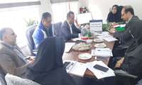 کارگروه نظام مراقبت بیماری منتقله ازپشه آئدس درمرکزبهداشت رودسربرگزارگردید